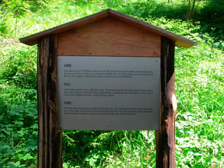Walderlebnispfad Aschbach – Familienrundwanderung mit Panorama - Algund - #12 - suedtirol.info
