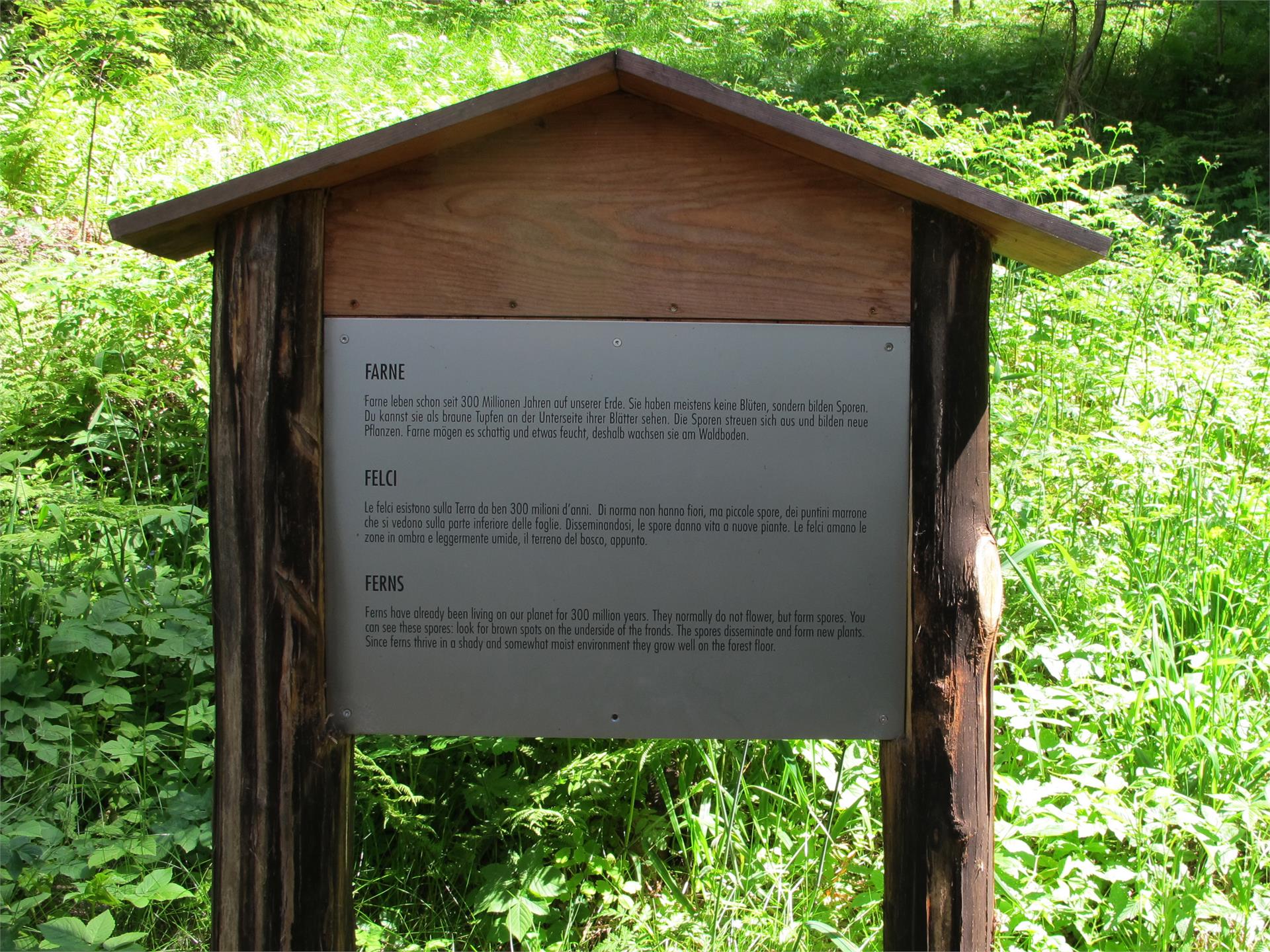 Forest Adventure Trail Aschbach/Rio Lagundo Partschins/Parcines 12 suedtirol.info