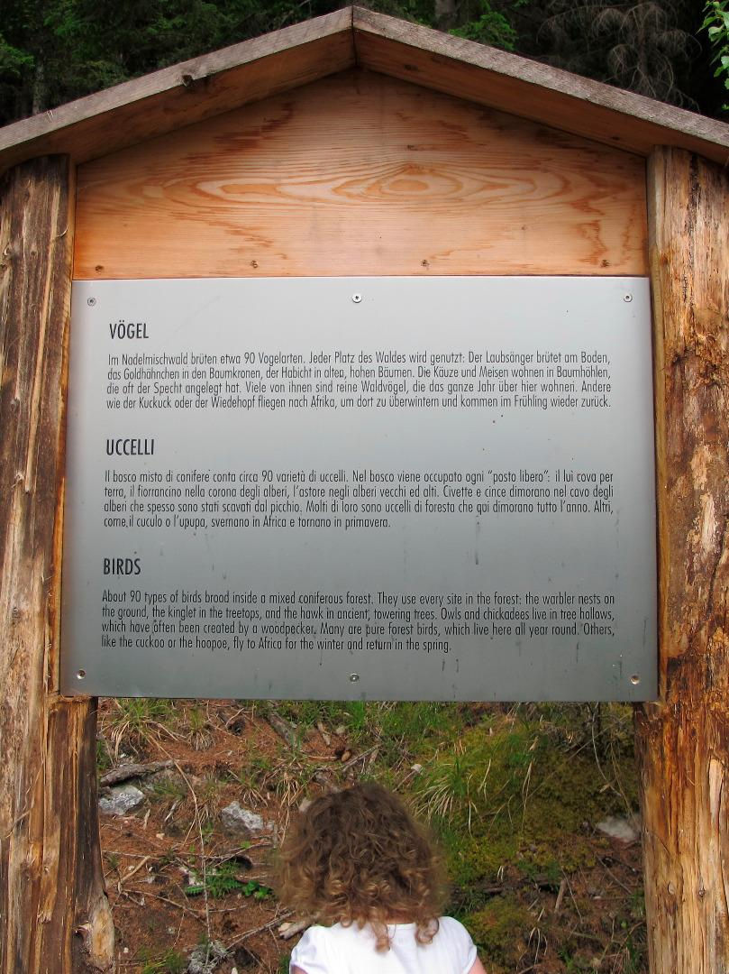 Slide 5