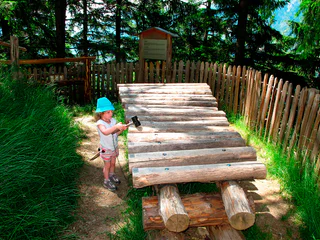 Walderlebnispfad Aschbach – Familienrundwanderung mit Panorama - Algund - #4 - suedtirol.info