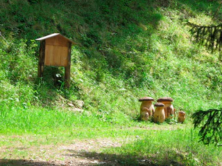 Walderlebnispfad Aschbach – Familienrundwanderung mit Panorama - Algund - #25 - suedtirol.info