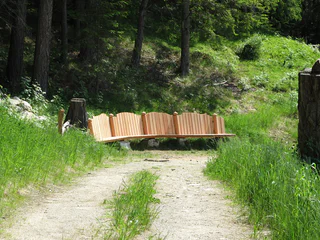 Walderlebnispfad Aschbach – Familienrundwanderung mit Panorama - Algund - #20 - suedtirol.info