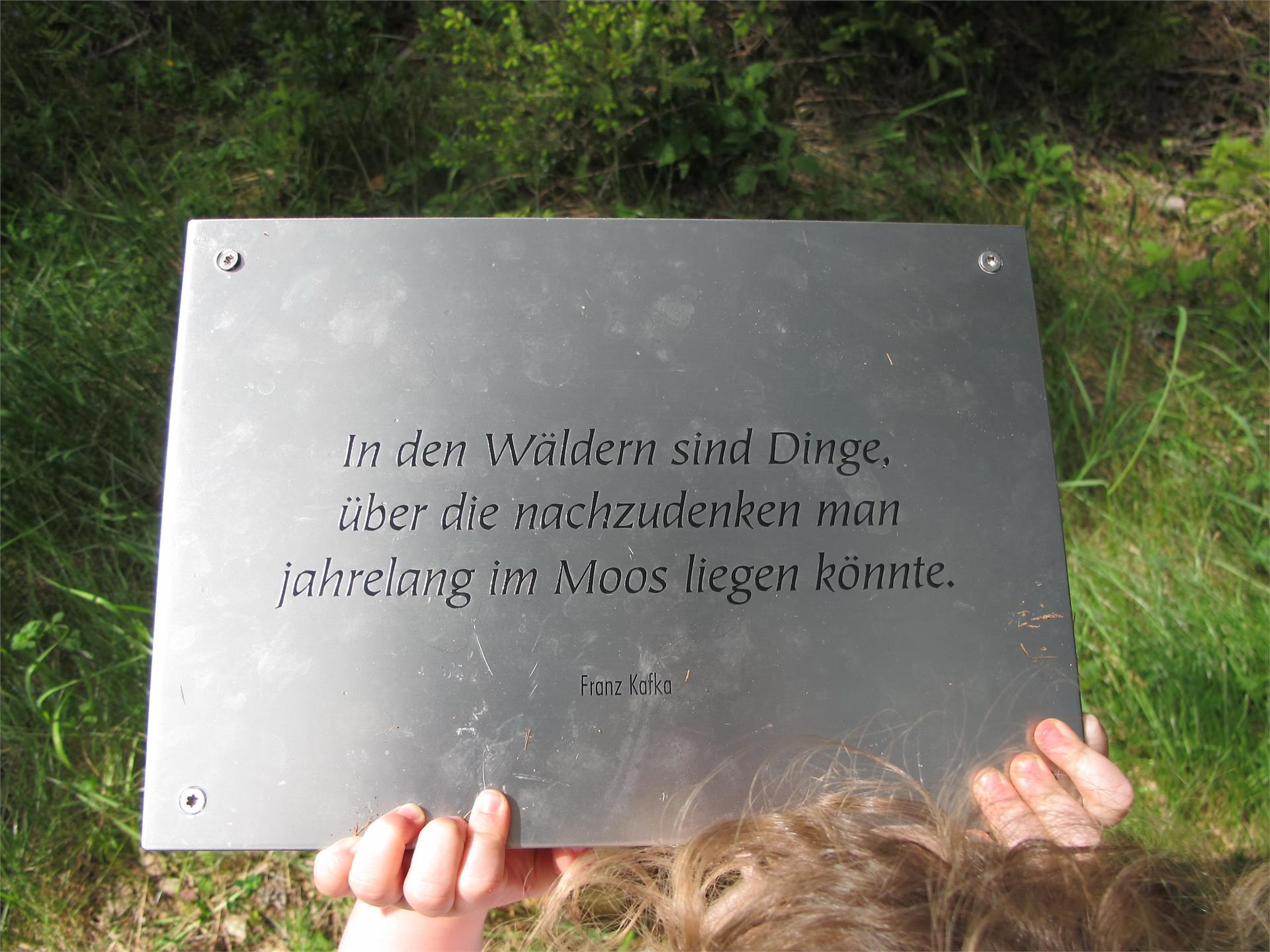 Forest Adventure Trail Aschbach/Rio Lagundo Partschins/Parcines 31 suedtirol.info