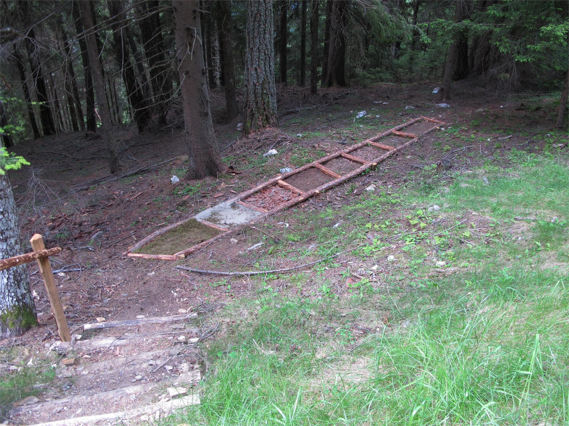 Forest Adventure Trail Aschbach/Rio Lagundo Partschins/Parcines 29 suedtirol.info