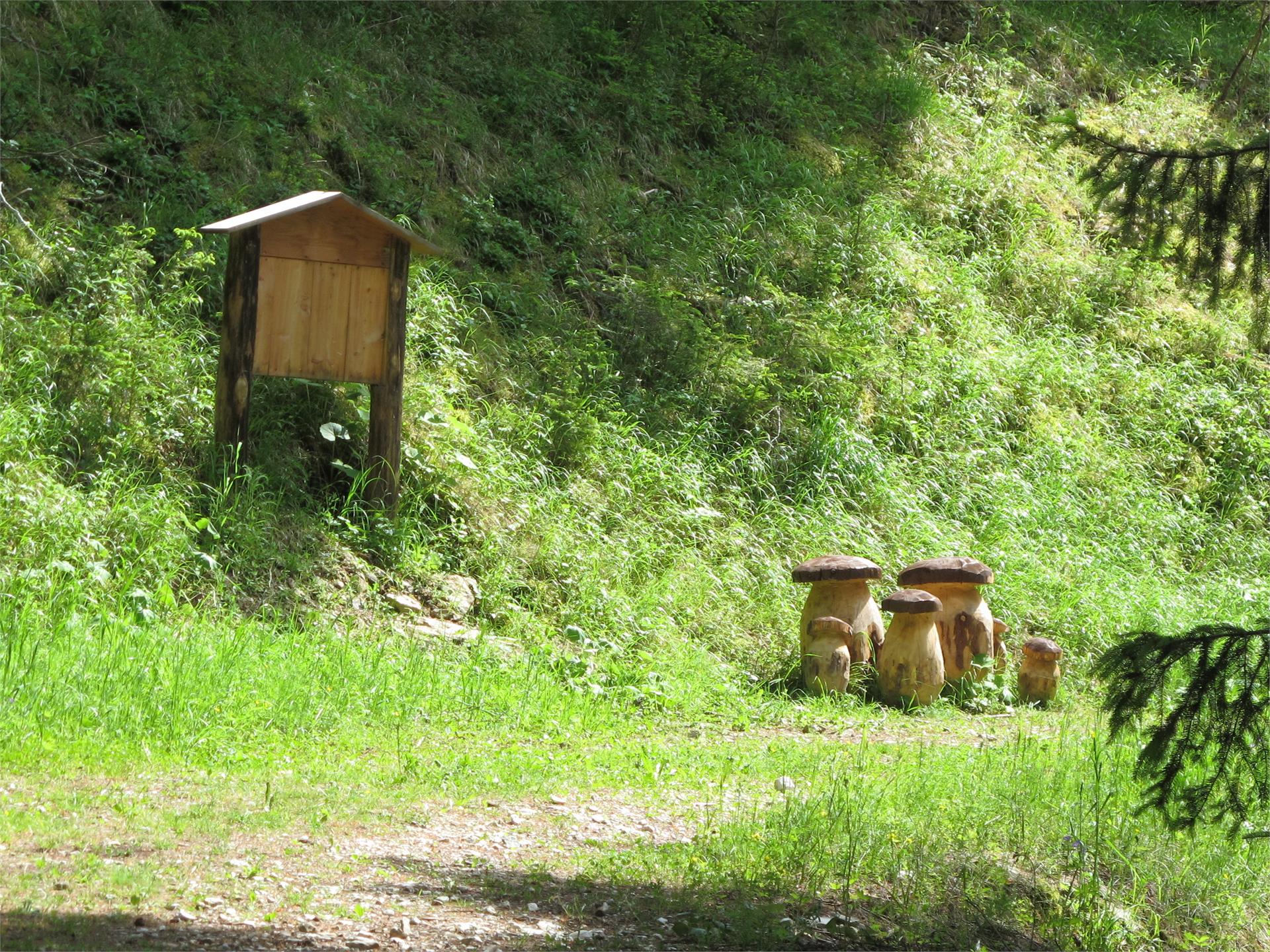 Forest Adventure Trail Aschbach/Rio Lagundo Partschins/Parcines 25 suedtirol.info