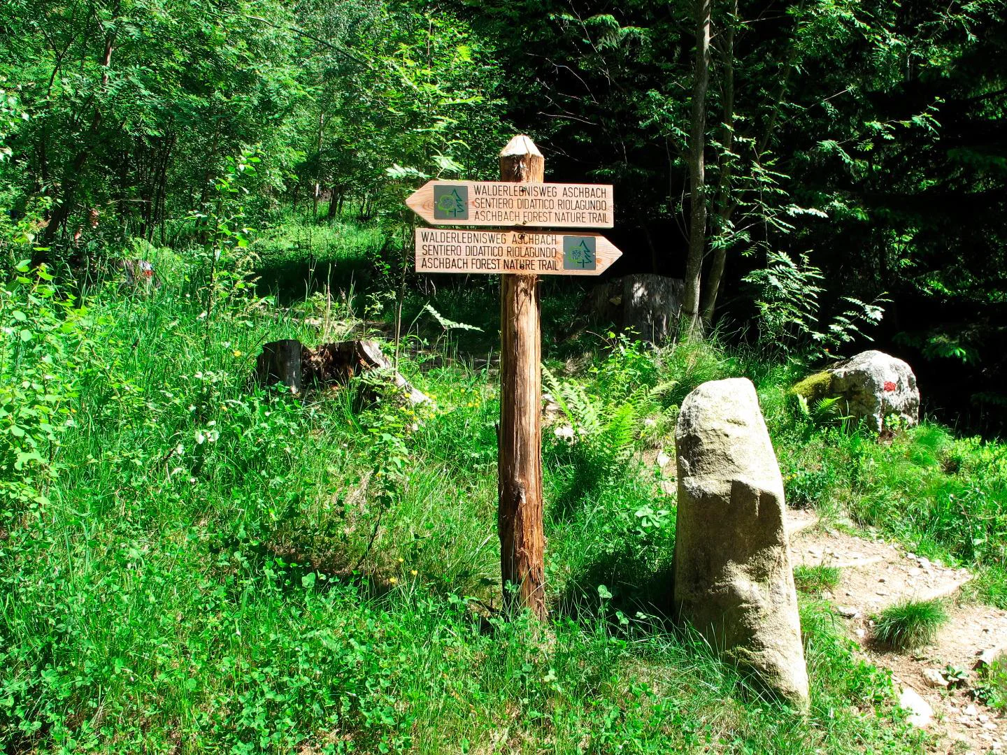 Forest Adventure Trail Aschbach/Rio Lagundo Partschins/Parcines 1 suedtirol.info