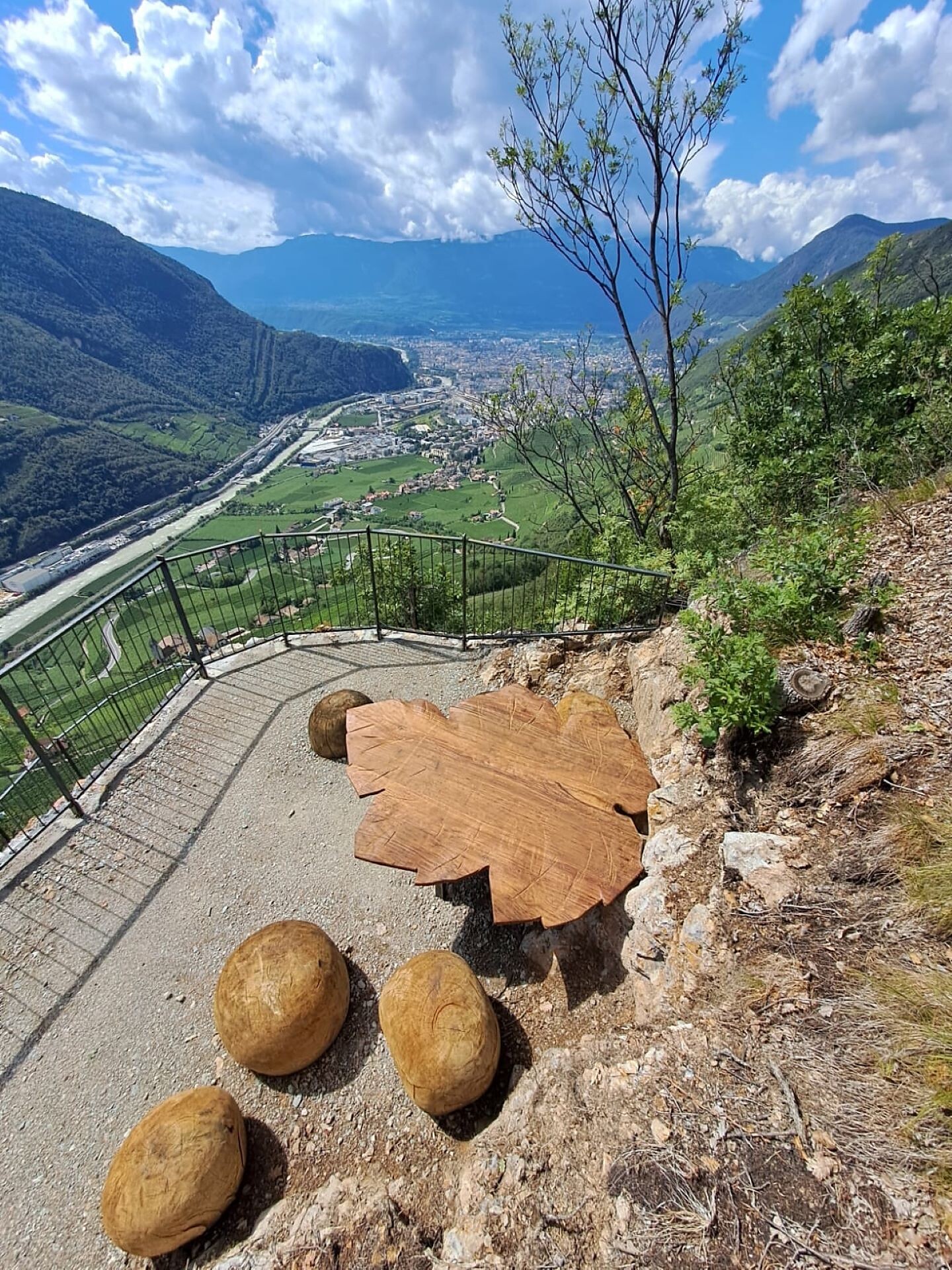 Weinwanderweg Rebe Aussichtsterrasse