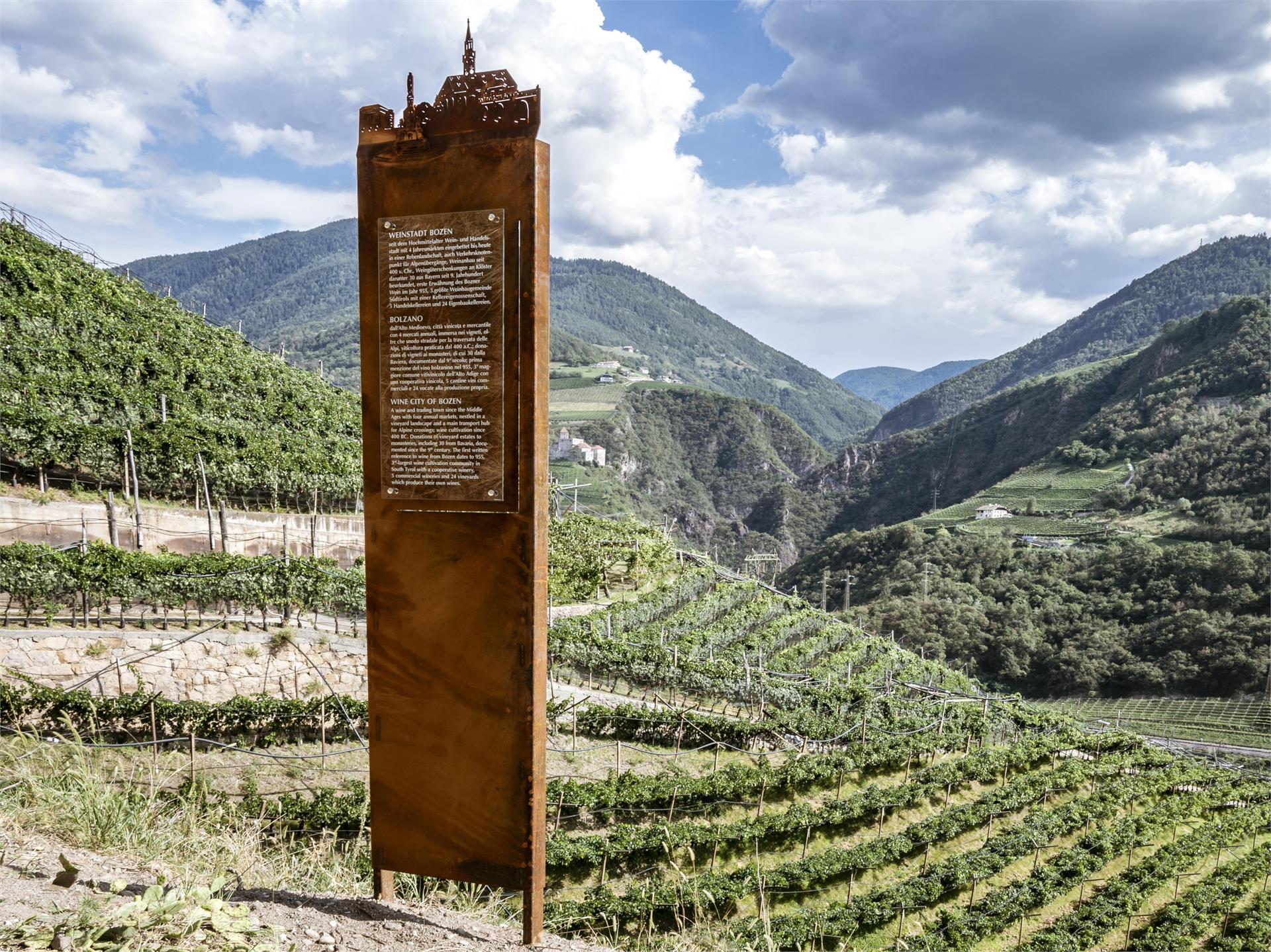 Weinwanderweg Rebe Ritten 6 suedtirol.info