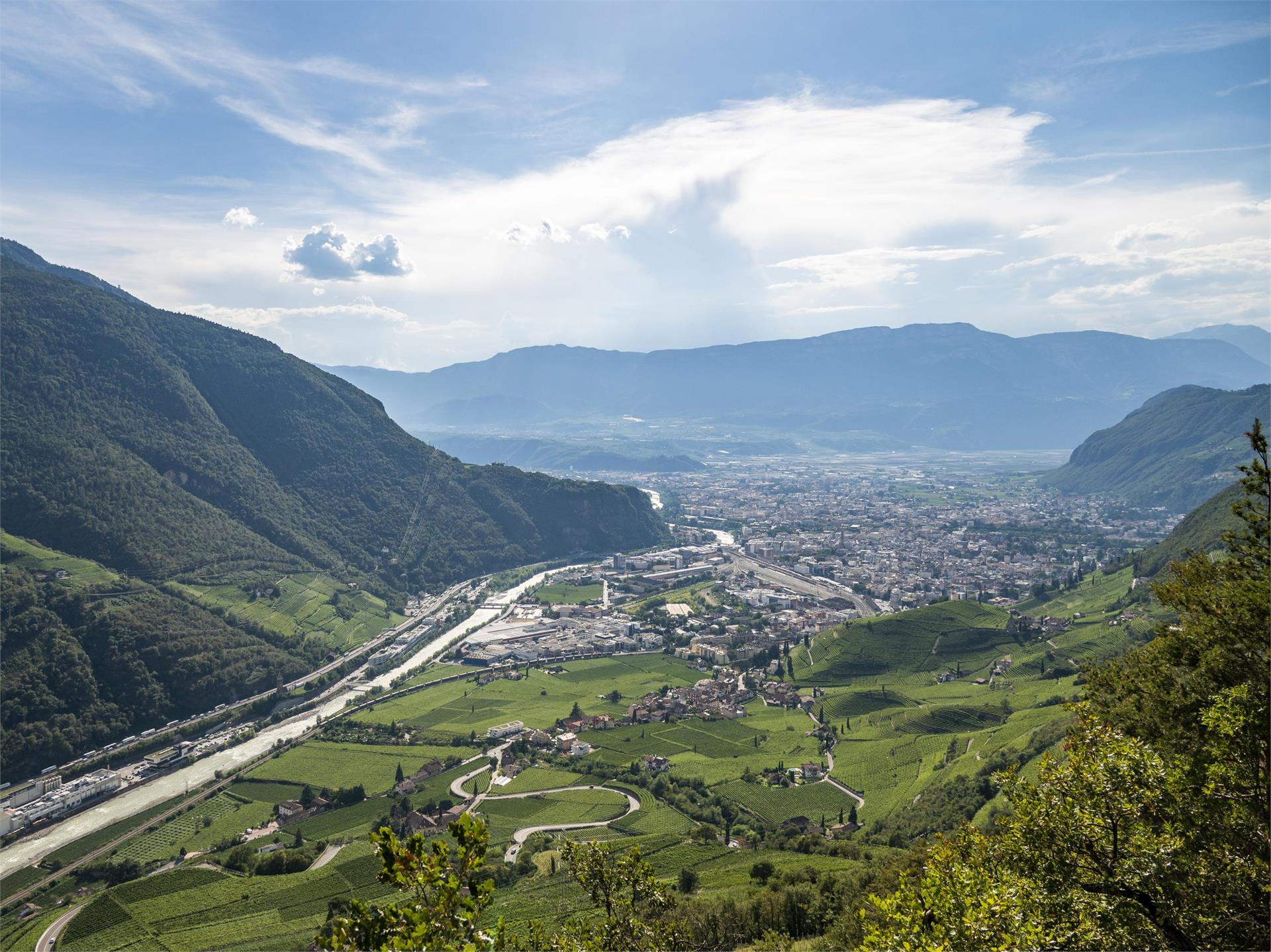 Weinwanderweg Rebe Ritten 5 suedtirol.info