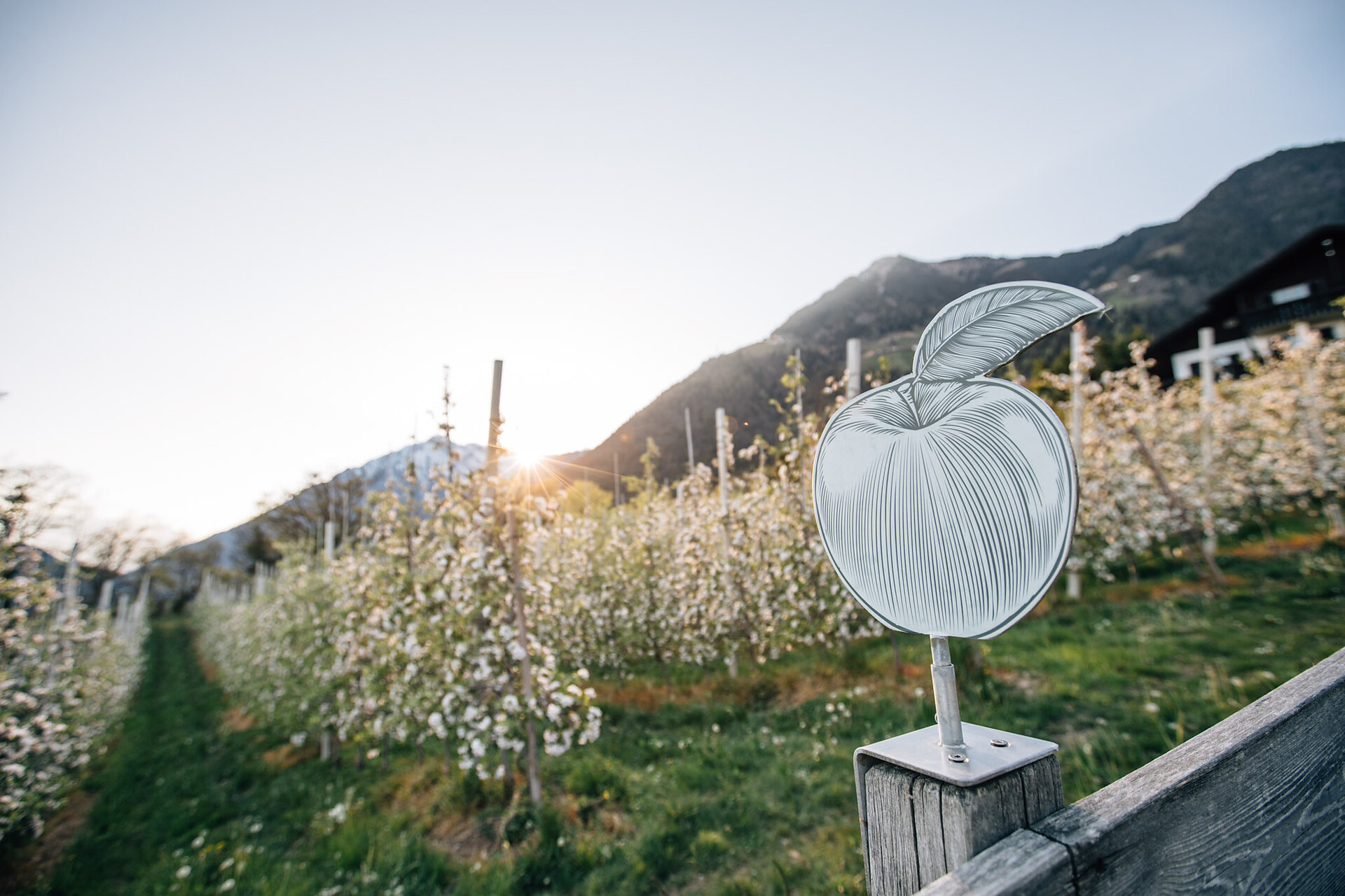 Apple Trail (Apfelweg)