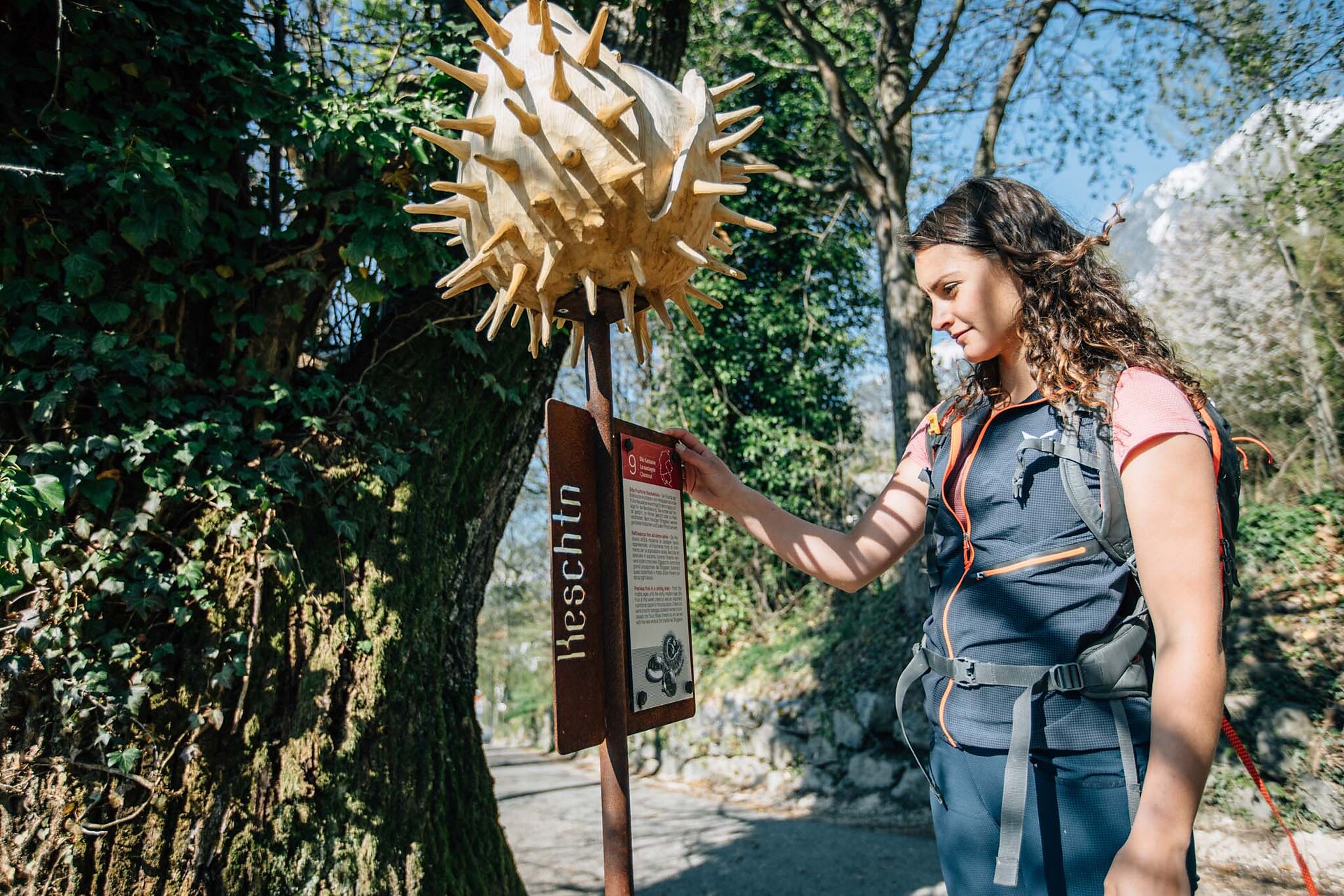 Apple Trail