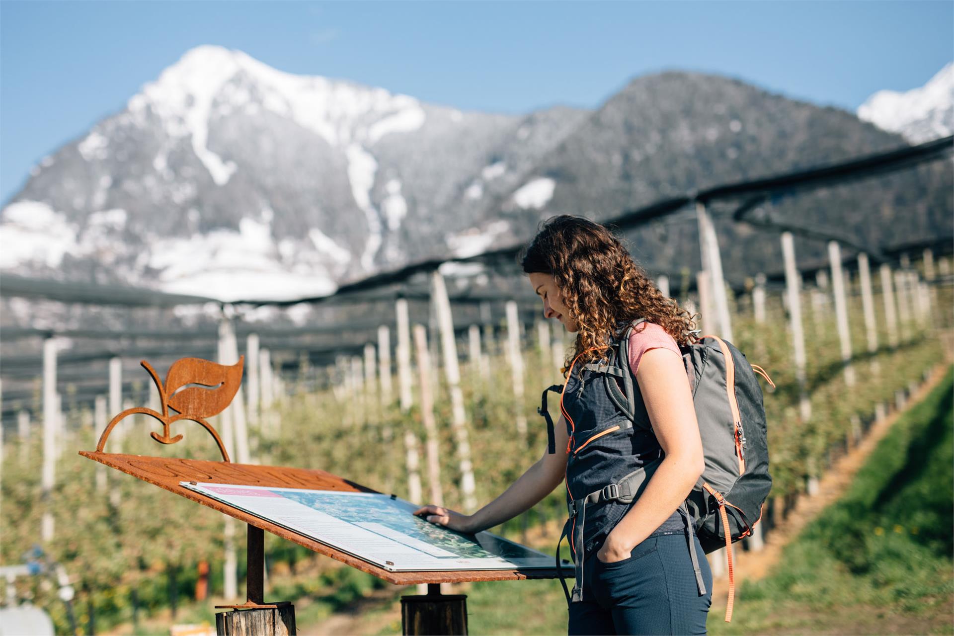 Wanderung entlang des Apfelweges Tirol 2 suedtirol.info