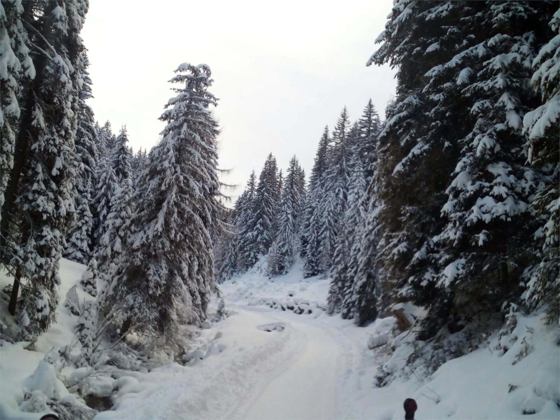 Winter walk in the Silvestertal/San Silvestro valley Innichen/San Candido 1 suedtirol.info