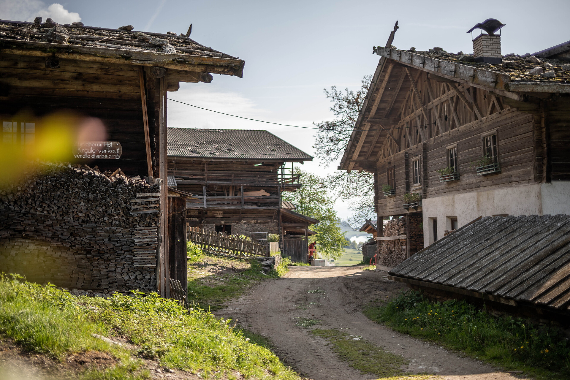 Passeggiata lungo la Via dei Masi in Val d'Ultimo - Merano e dintorni - #2 - suedtirol.info