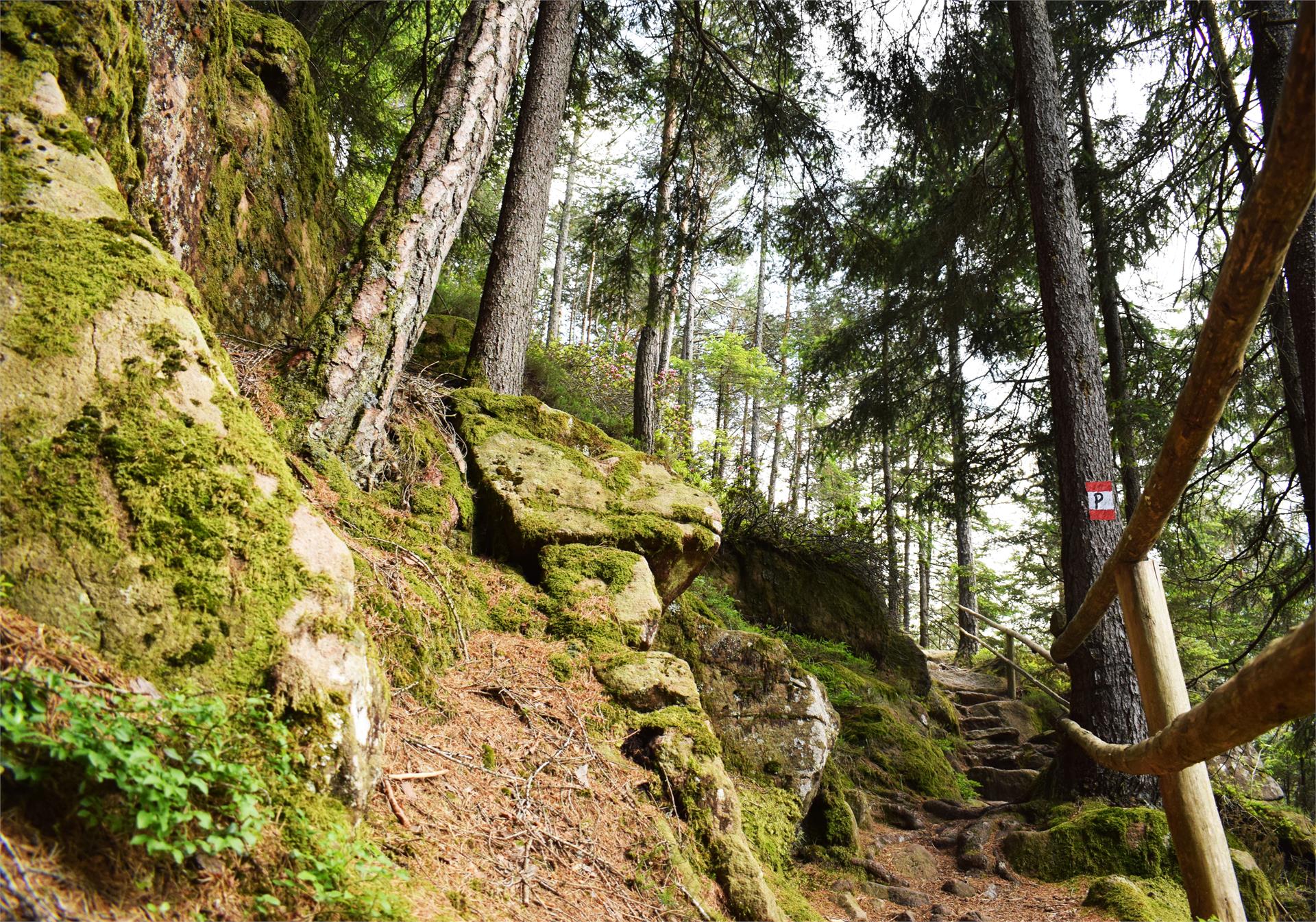 Sentiero della Posta Urtijëi/Ortisei 2 suedtirol.info