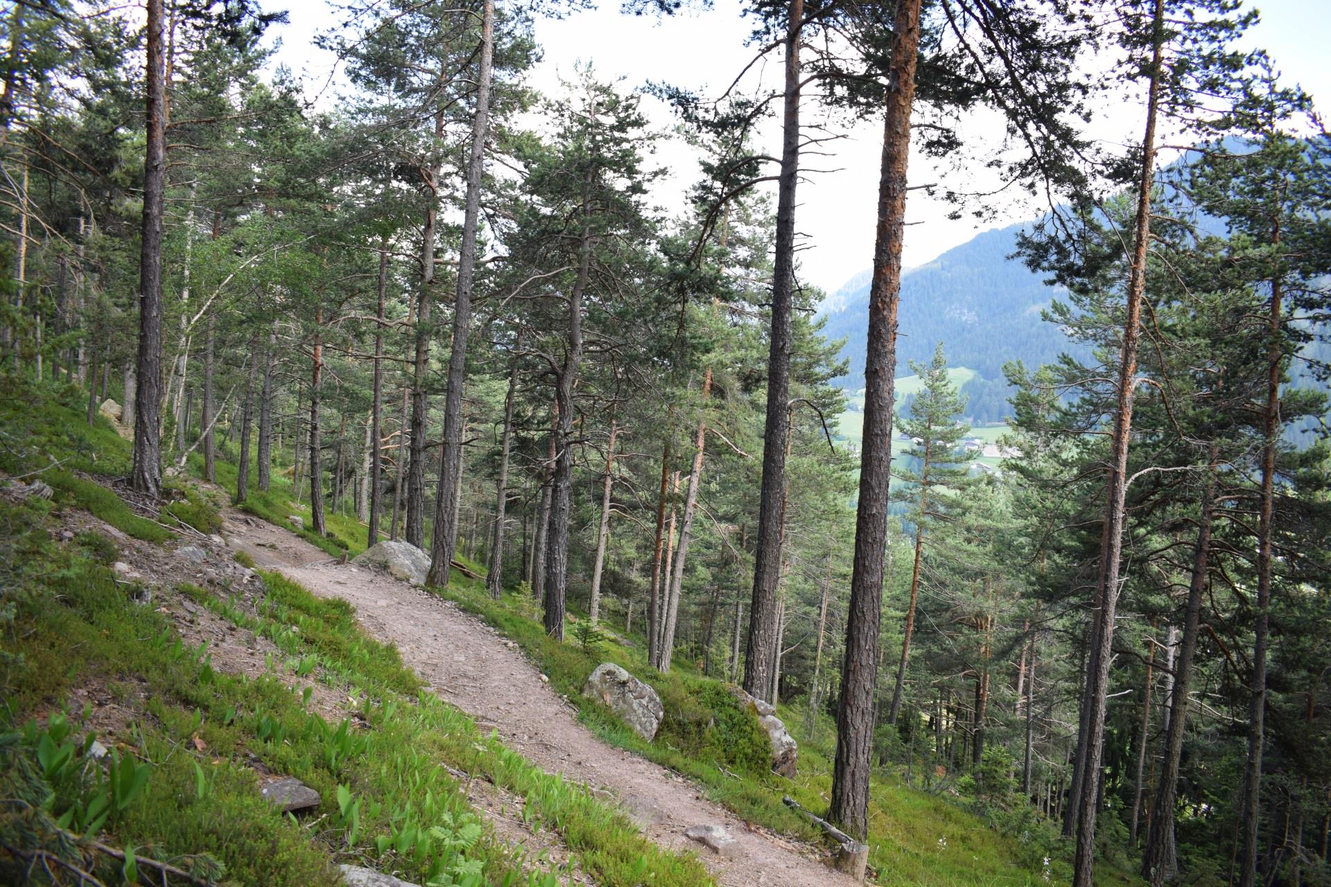 Sentiero della Posta Urtijëi/Ortisei 4 suedtirol.info