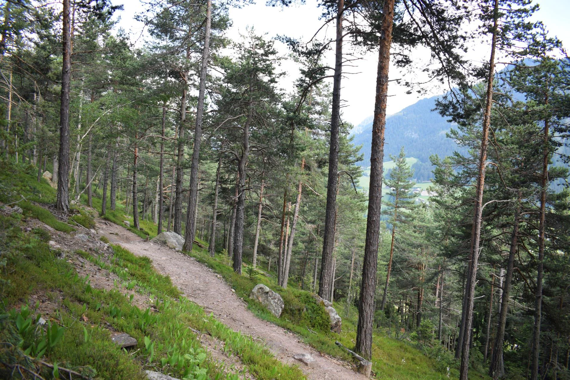 Sentiero della Posta Ortisei 4 suedtirol.info