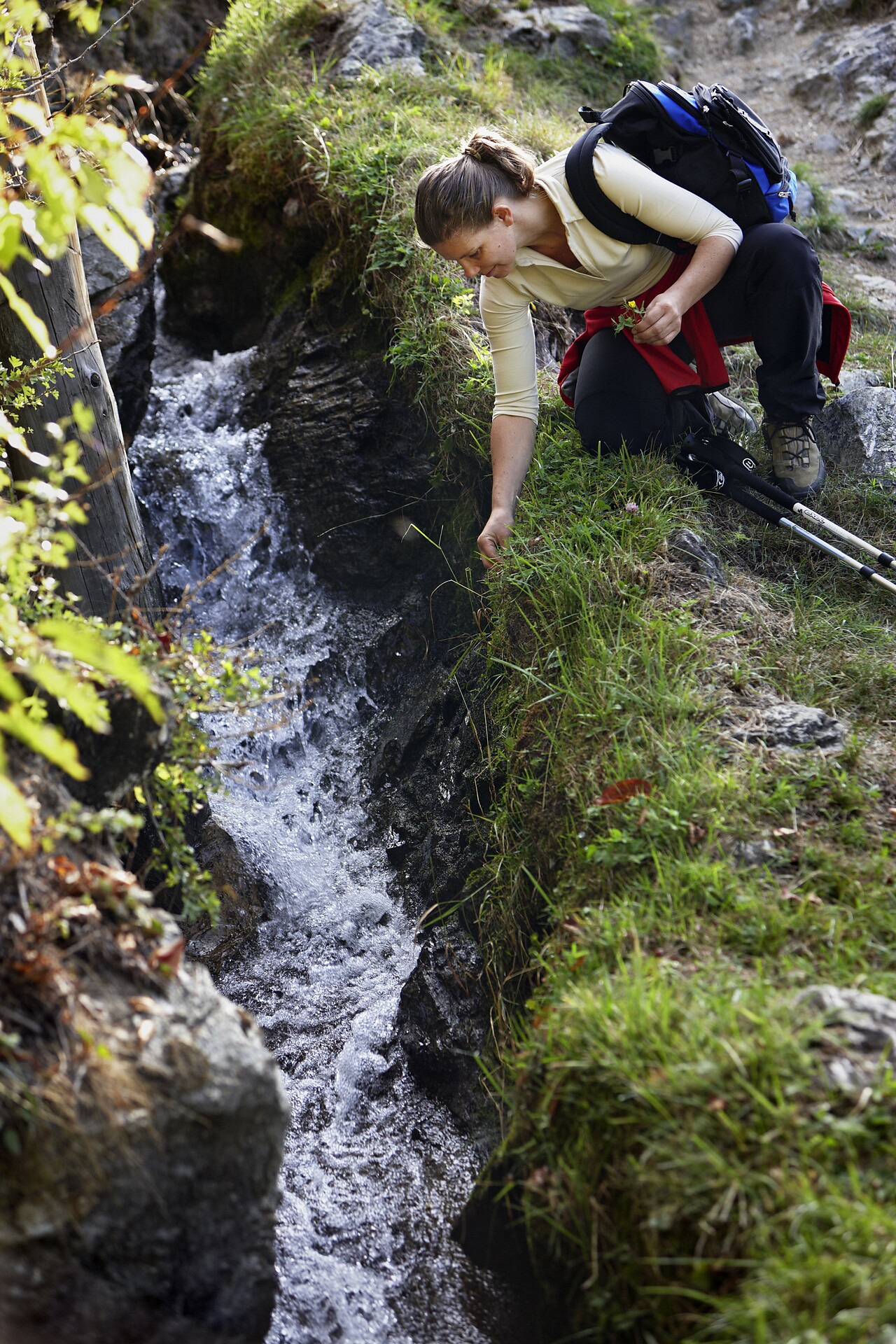 Sentiero della roggia Latschanderwaal Laces 2 suedtirol.info