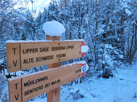Mühlenweg Olang 4 suedtirol.info