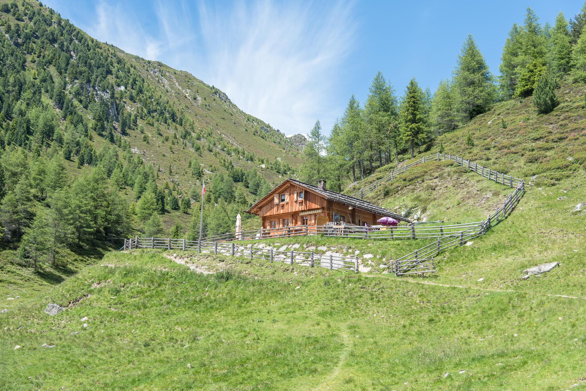 Escursione alla Malga Plata Falzes 1 suedtirol.info