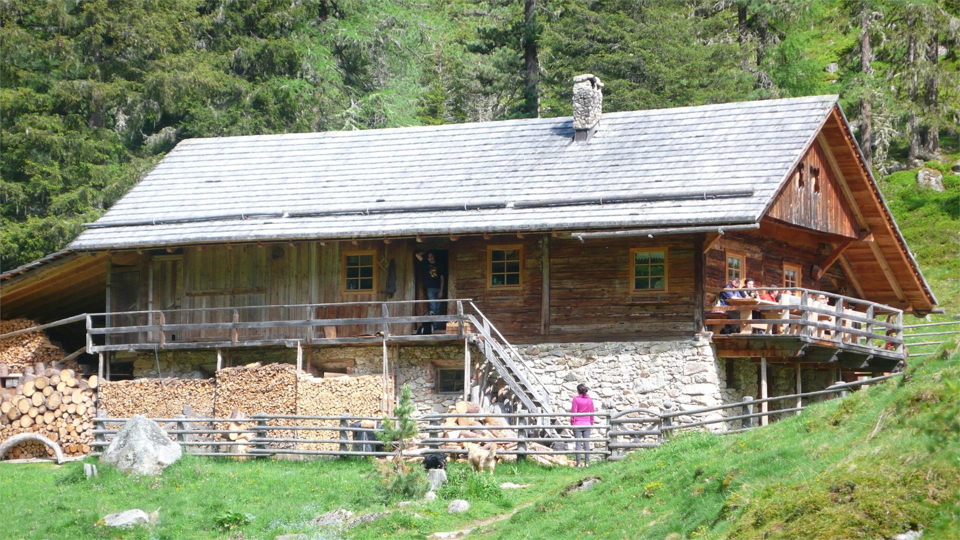 Wanderung zur Lercher Alm Rasen-Antholz 1 suedtirol.info
