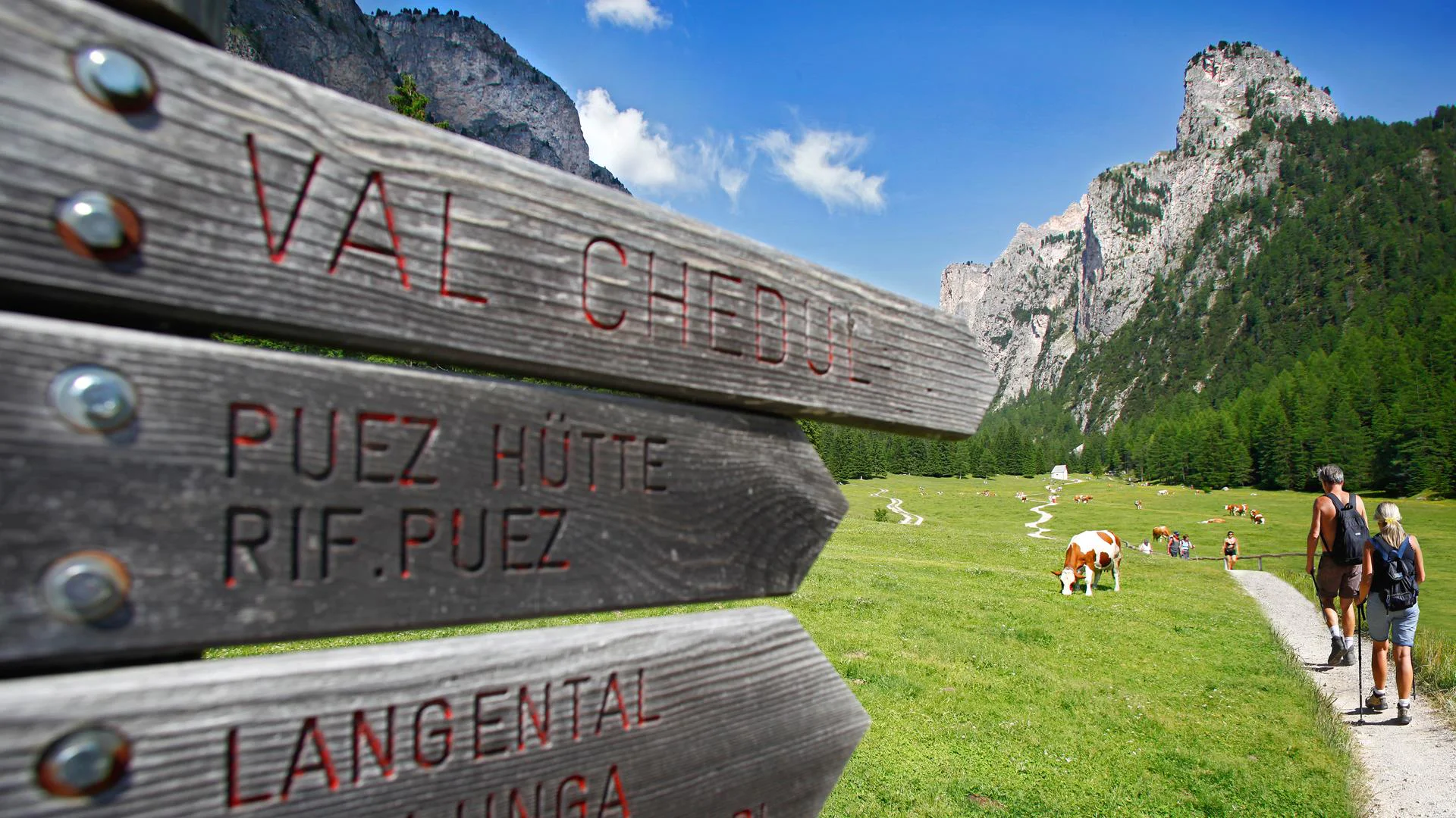 Excursion from Vallunga to the Puez hut Sëlva/Selva 1 suedtirol.info