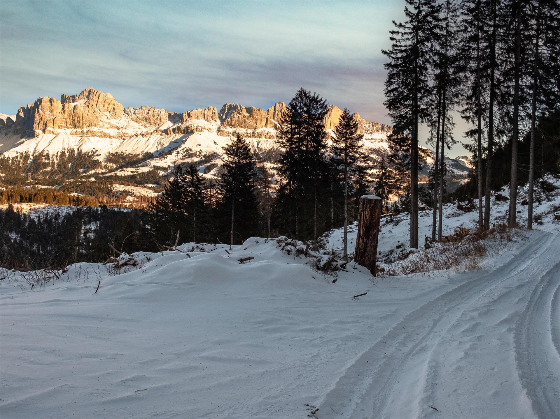 Winter hike at Obergummer Tiers am Rosengarten/Tires al Catinaccio 2 suedtirol.info