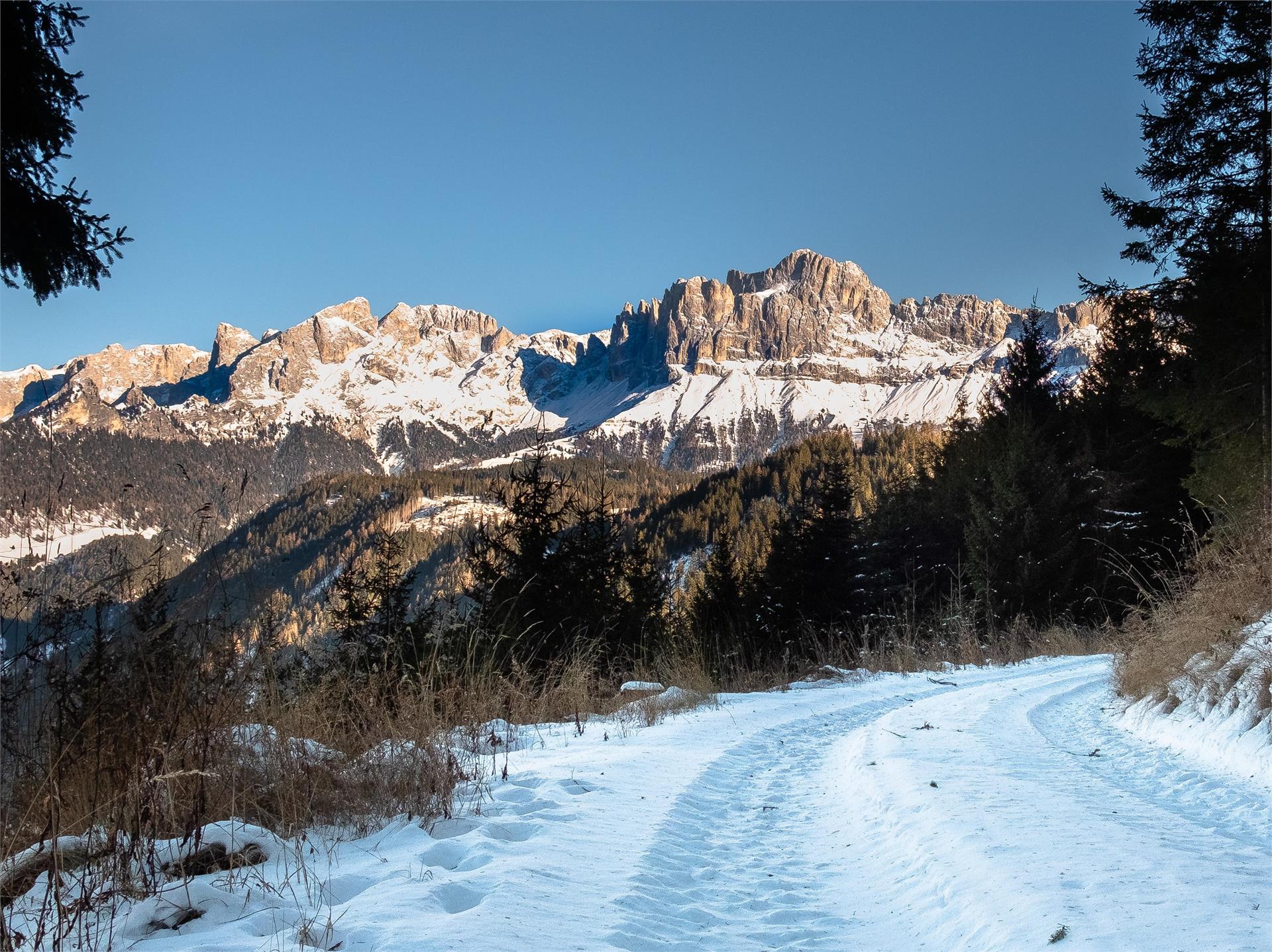 Winter hike at Obergummer Tiers am Rosengarten/Tires al Catinaccio 1 suedtirol.info