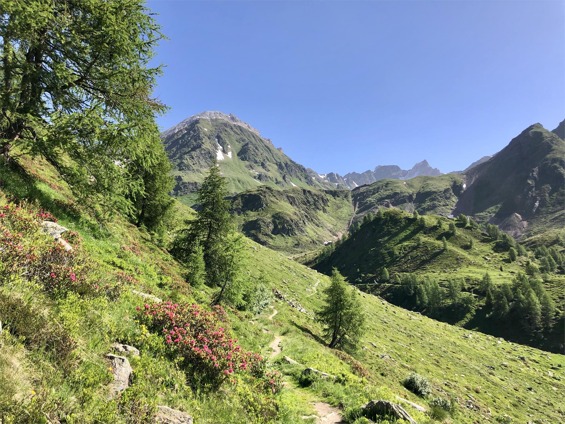 Wanderung Schneeberg Moos in Passeier 2 suedtirol.info