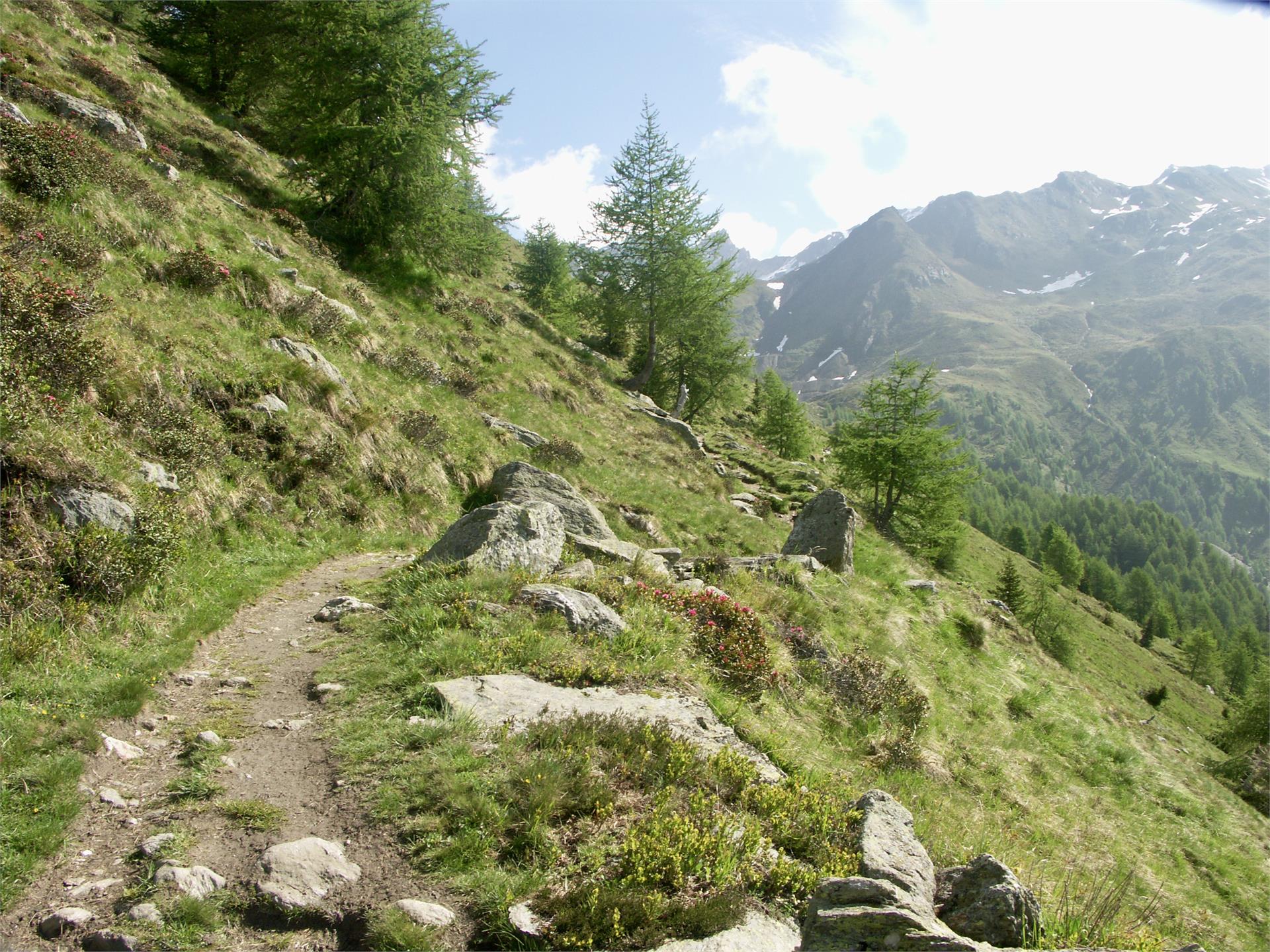 Wanderung Schneeberg Moos in Passeier 3 suedtirol.info