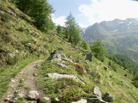 Schneeberg Mountain Hike Moos in Passeier/Moso in Passiria 3 suedtirol.info
