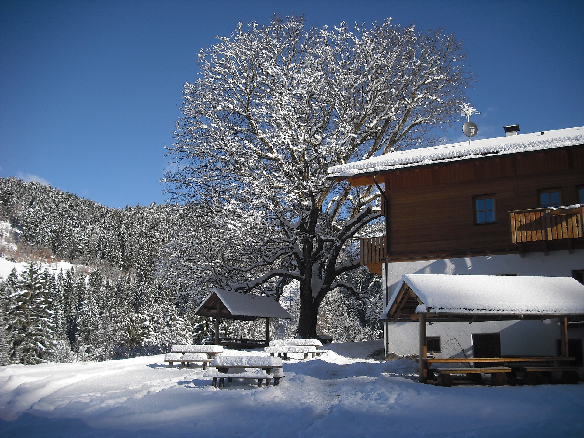 Winter Bacherhof