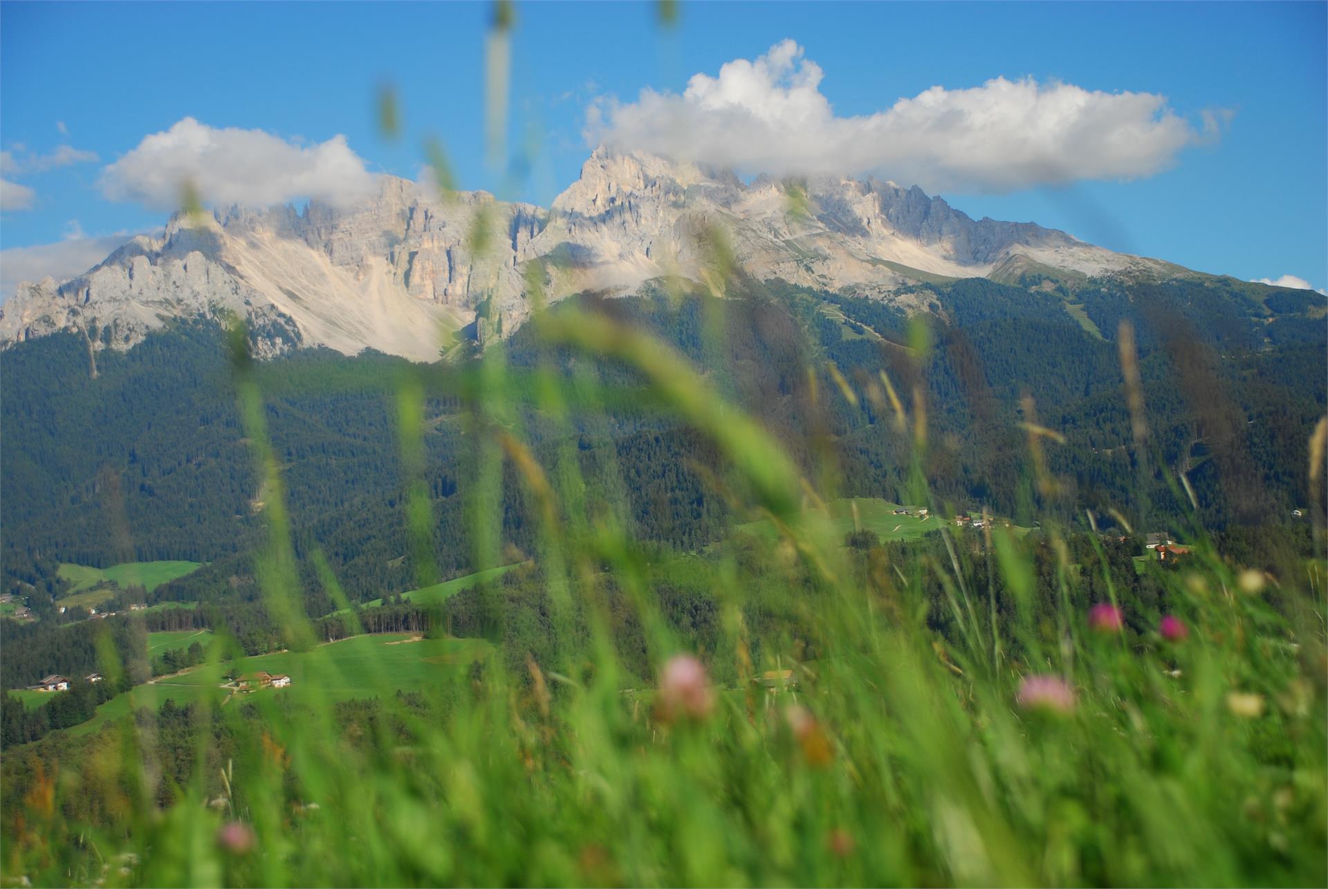 Hike to the St. Helena Church Deutschnofen/Nova Ponente 1 suedtirol.info