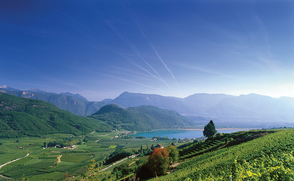 Weinradroute Mitte, Wein & Rad: Weißburgunder und Kalterersee Kaltern an der Weinstraße 1 suedtirol.info