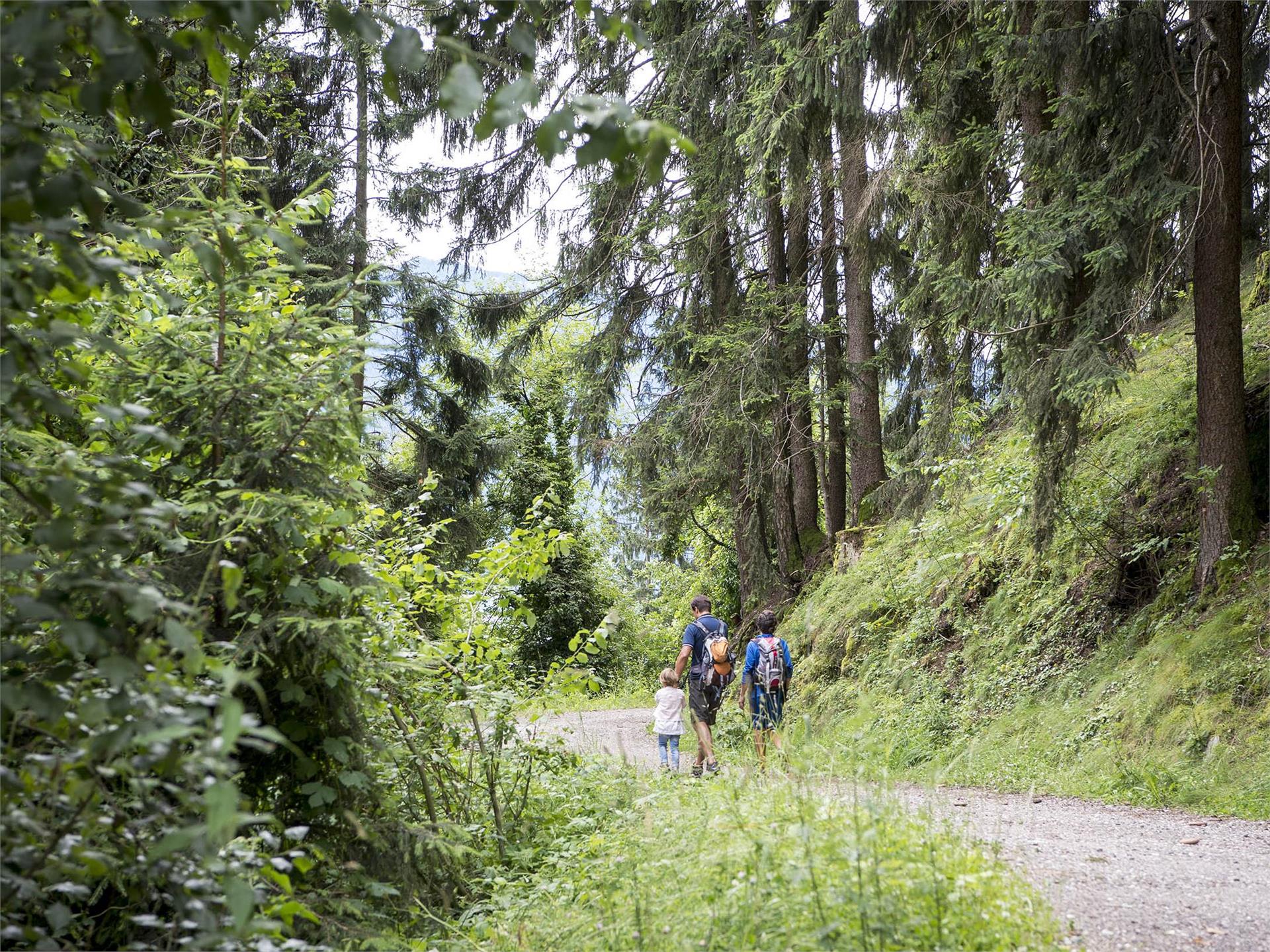 Wanderung zum Gasthaus Longfall Tirol 1 suedtirol.info