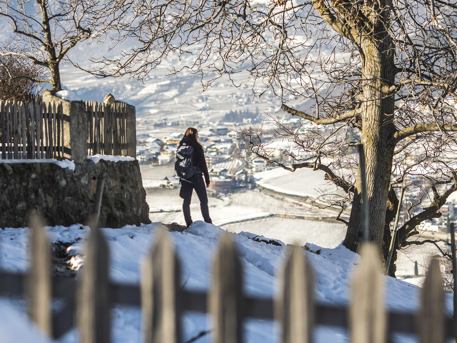 Escursione invernale lungo via Mitterplatt in centro a Merano - Merano e dintorni - #3 - suedtirol.info