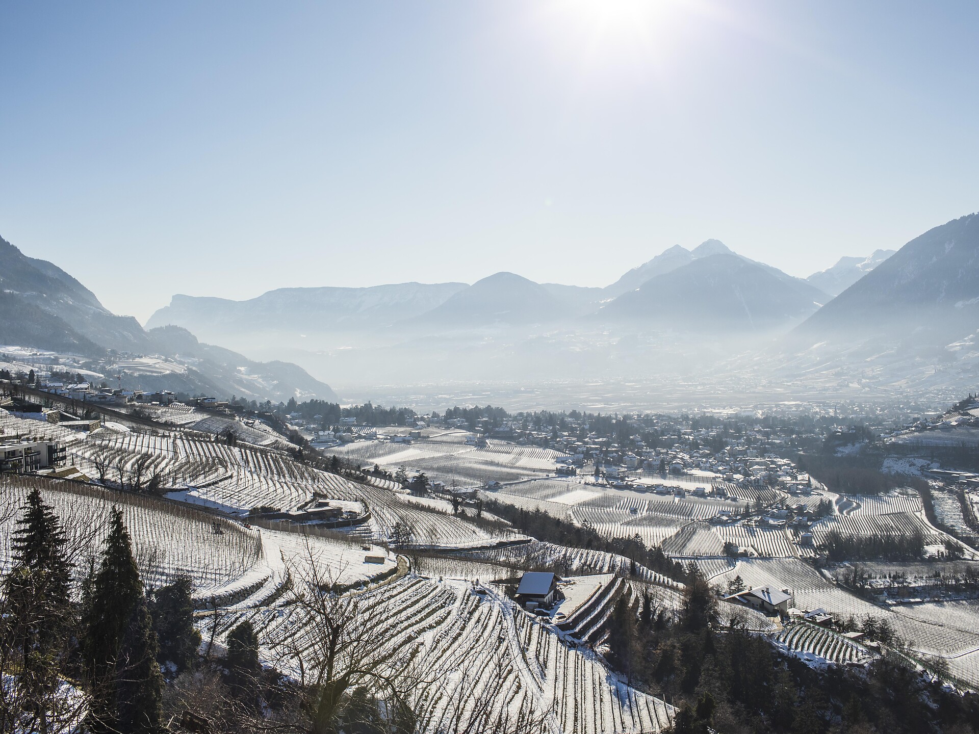 Escursione invernale lungo via Mitterplatt in centro a Merano - Merano e dintorni - #4 - suedtirol.info