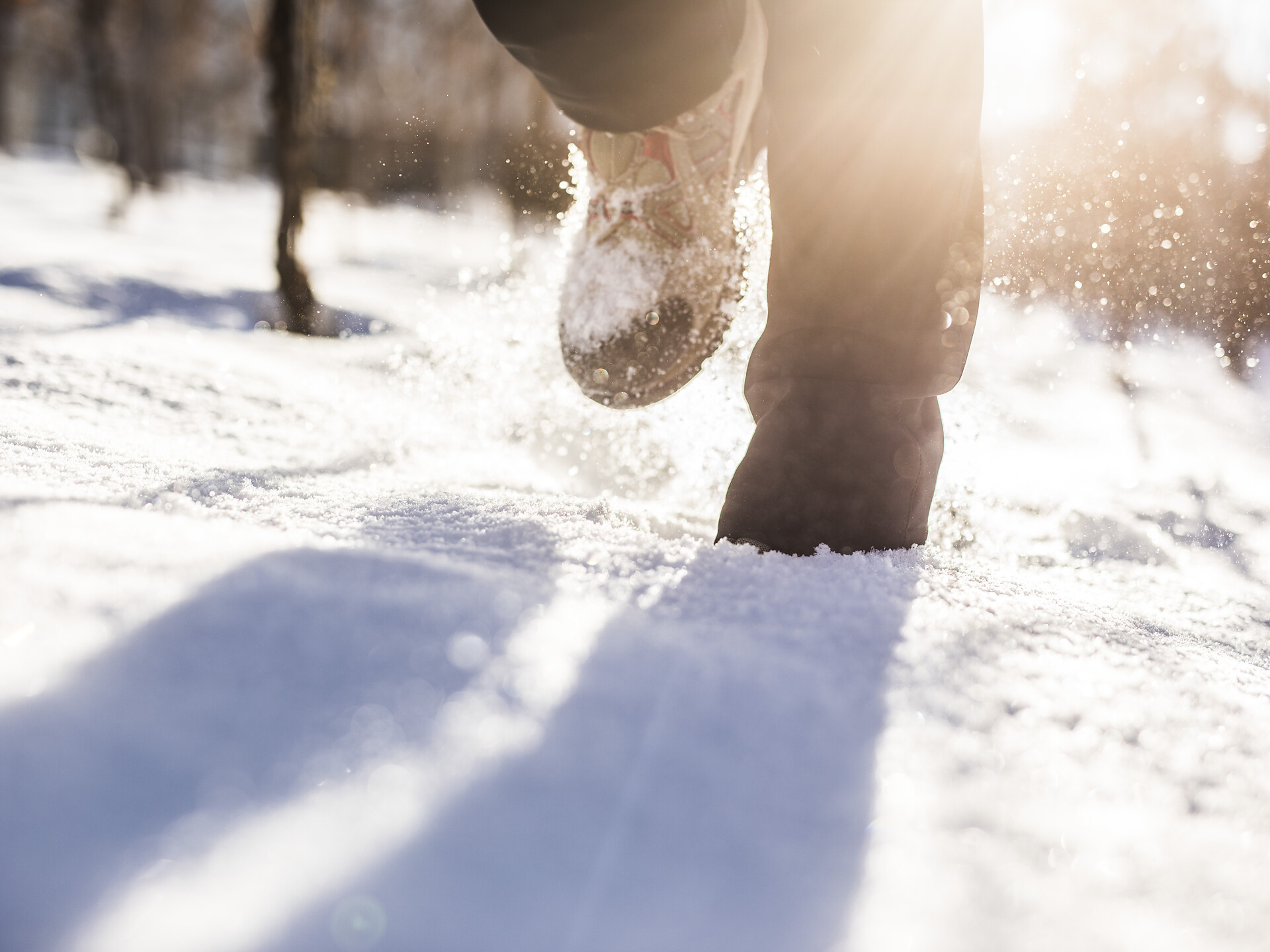 Escursione invernale lungo via Mitterplatt in centro a Merano - Merano e dintorni - #2 - suedtirol.info