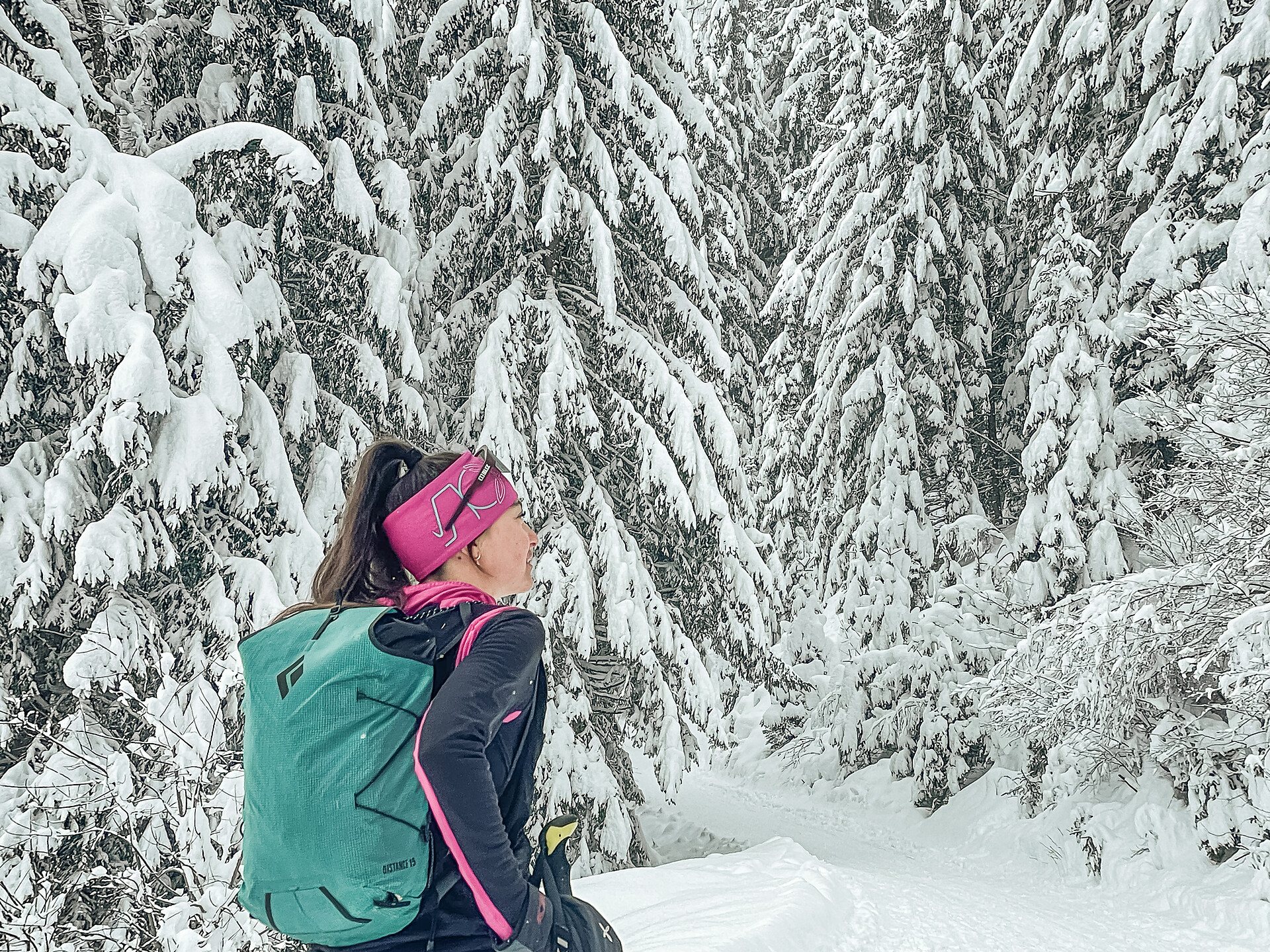 Winter hiking trail to the Busegge Alm hut - Ahrntal/Valle Aurina - #1 - suedtirol.info