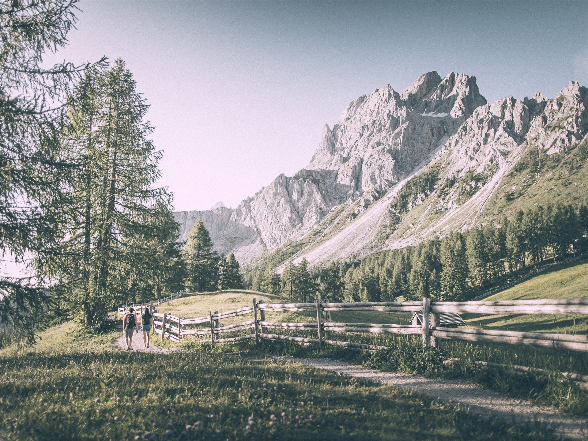 Hiking path: From the meadows of the Croda Rossa to the Passo Monte Croce Sexten/Sesto 1 suedtirol.info