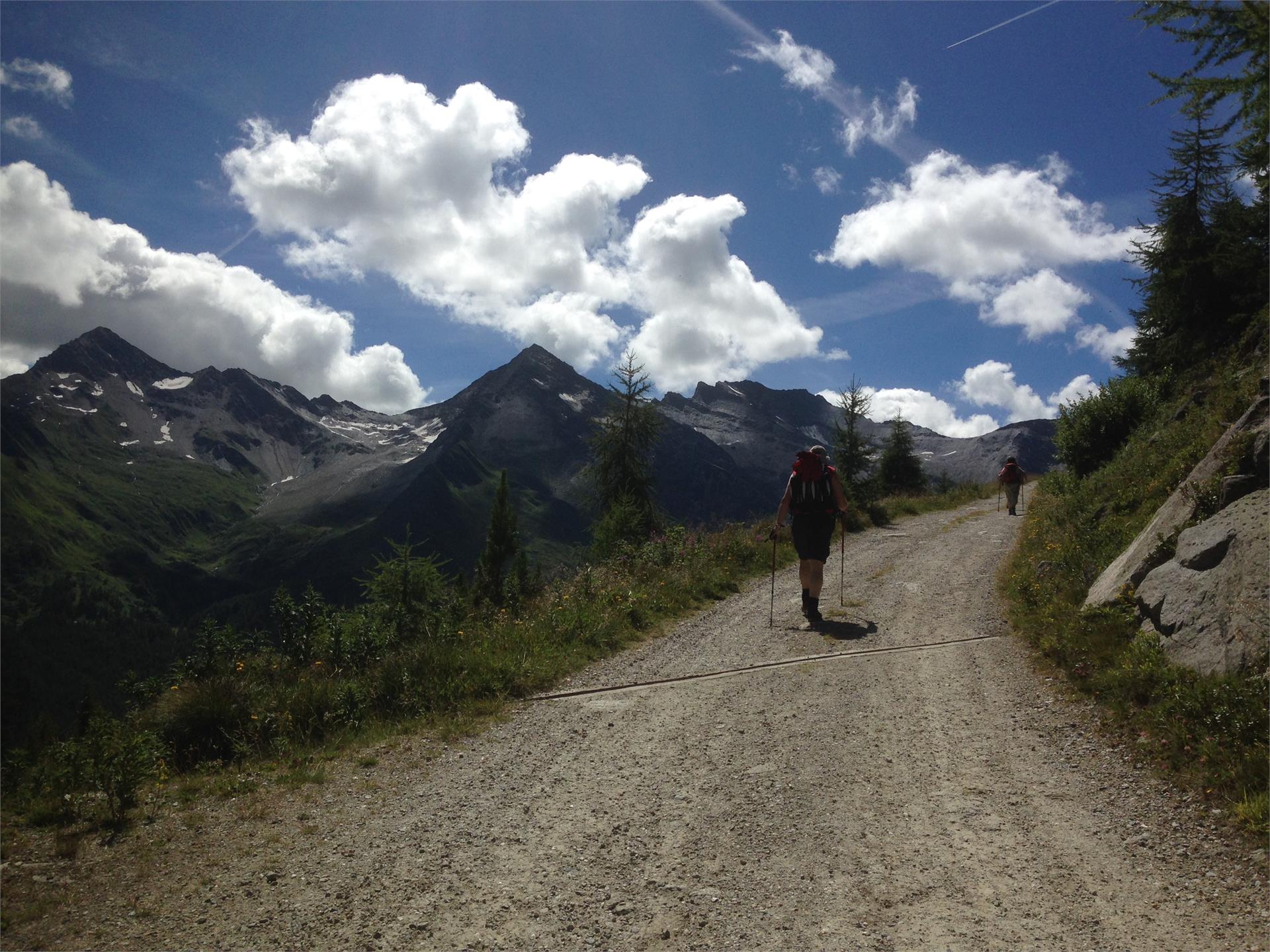 Wanderung zum Waldner See Prettau 2 suedtirol.info