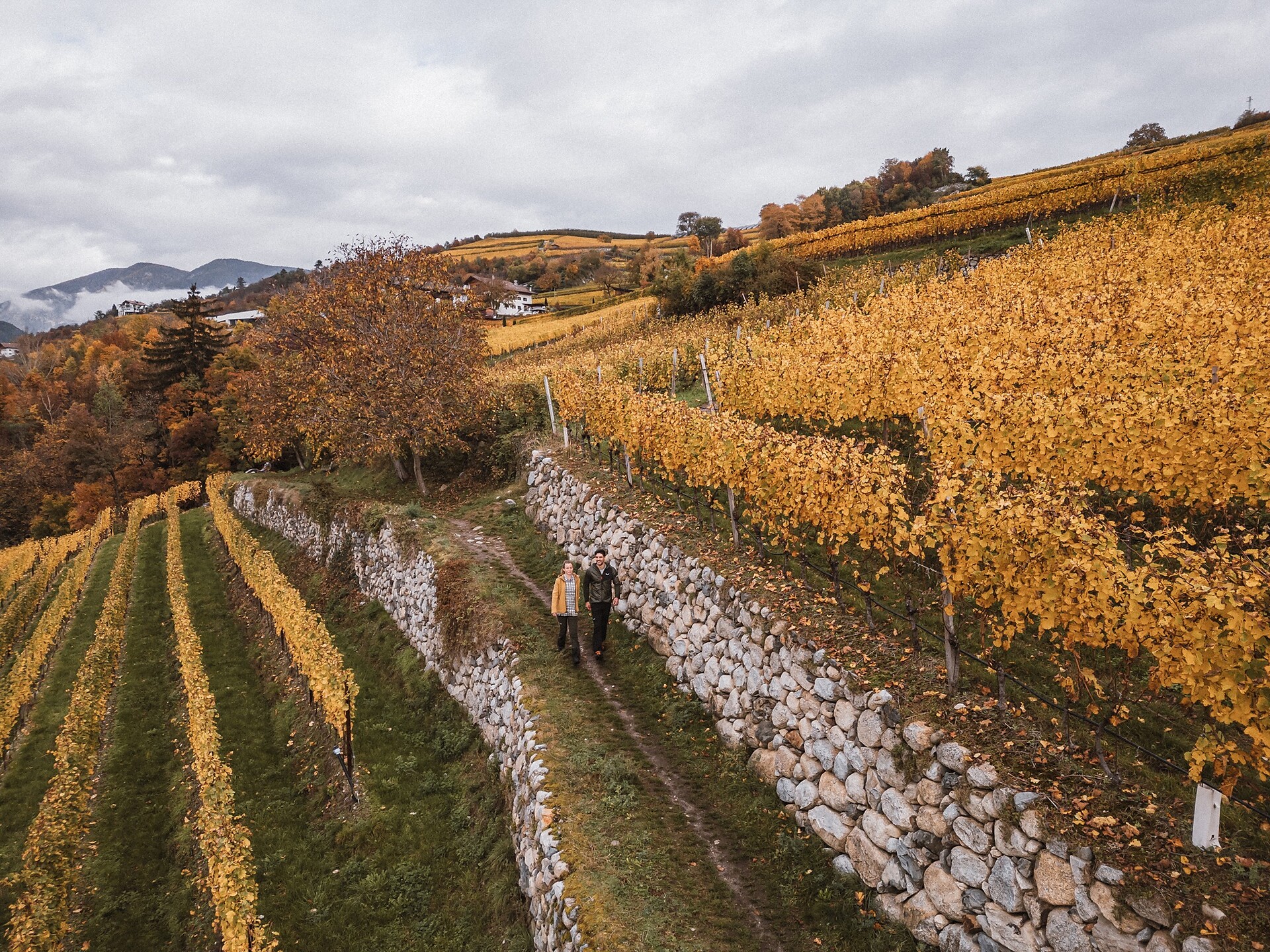 Brixen – Neustift Wine Trail - Brixen/Bressanone and environs - #1 - suedtirol.info