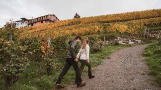 Weinweg Brixen-Neustift - Brixen - #3 - suedtirol.info
