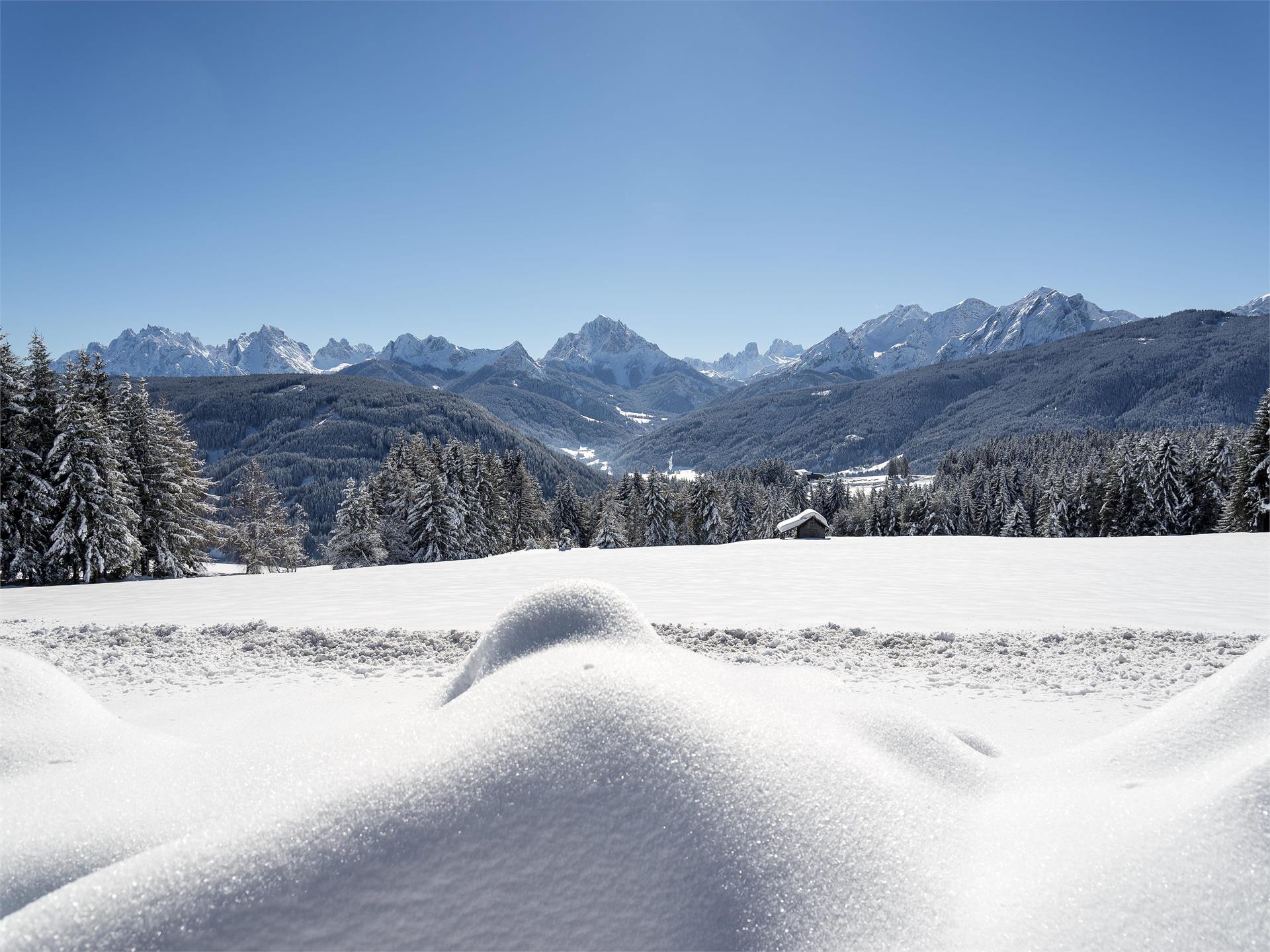Winterwandern: Spaziergang in Welsberg Welsberg-Taisten 1 suedtirol.info