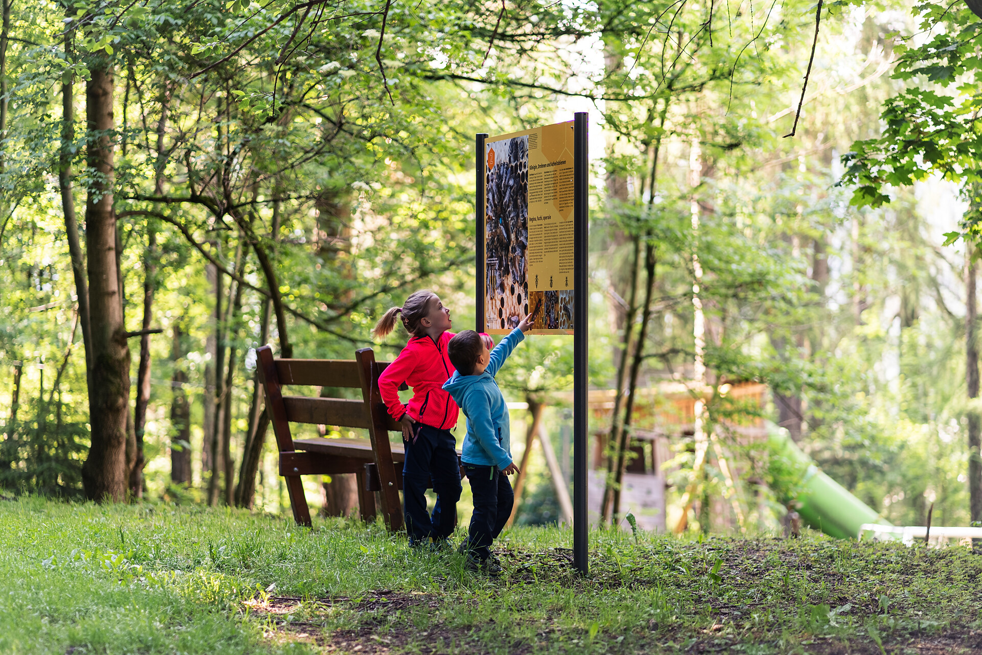 Bee Trail