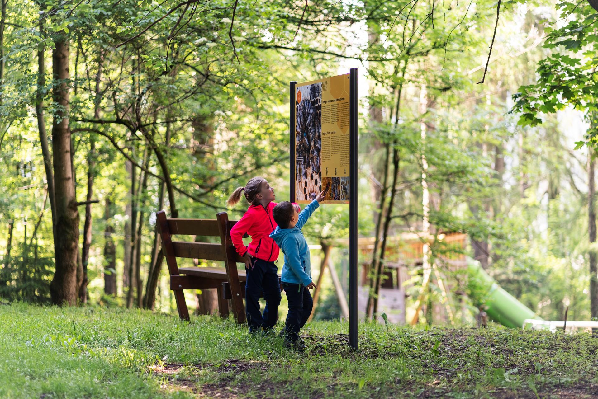 Sentiero delle api a Trens Campo di Trens 2 suedtirol.info