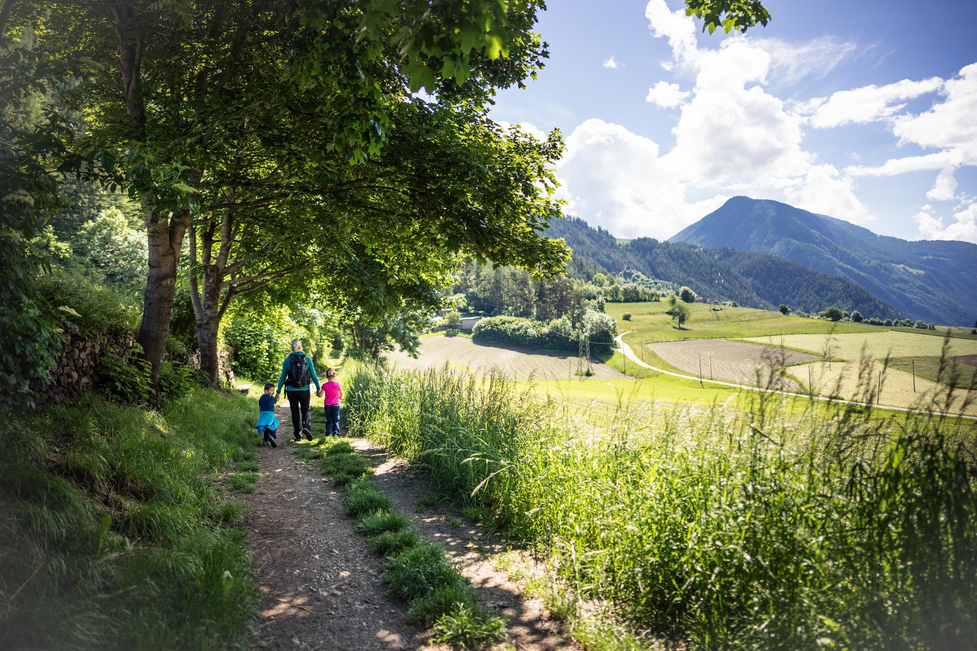 Sentiero delle api a Trens Campo di Trens 3 suedtirol.info