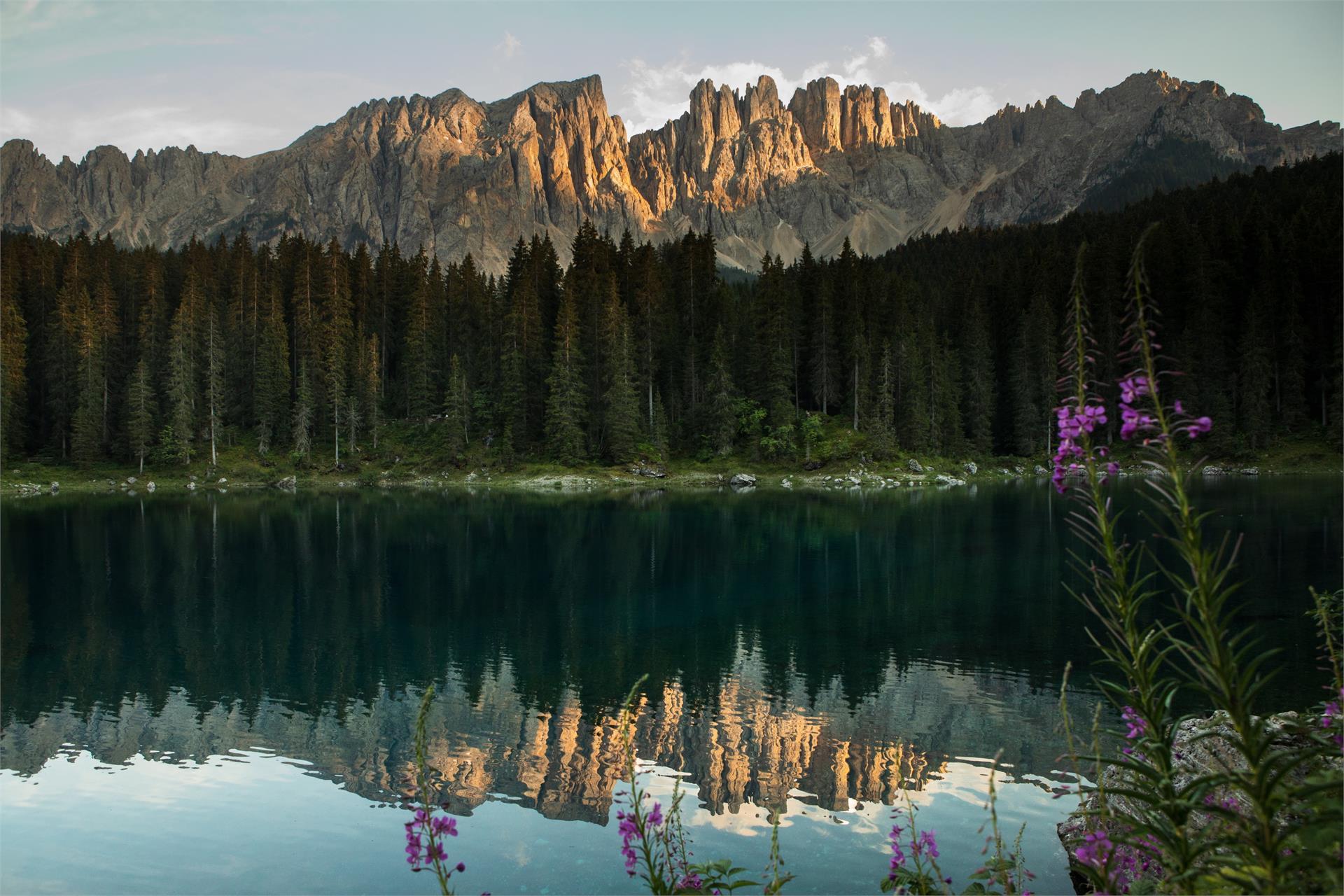 Escursione da Nova Levante al Passo Costalunga Nova Levante 2 suedtirol.info