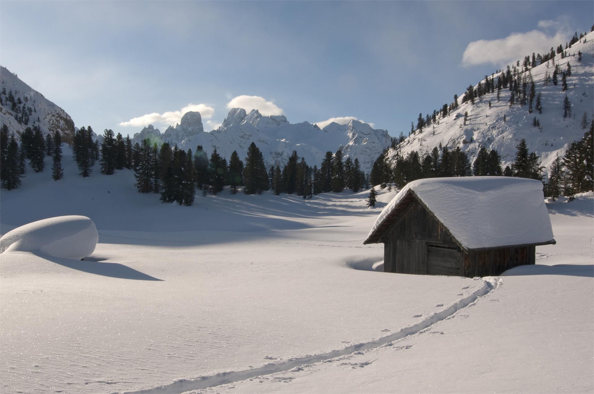 Passeggiata invernale: Carbonin - Prato Piazza Dobbiaco 2 suedtirol.info