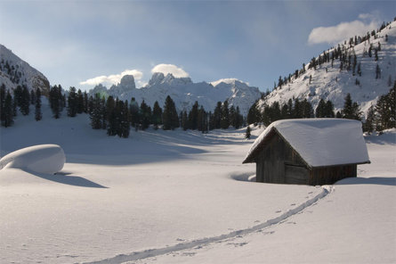 Winterwanderung: Schluderbach - Plätzwiese Toblach 2 suedtirol.info